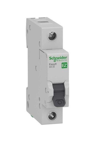 Schneider Sigorta EZ9F51106 1C 6A 10KA EASY9