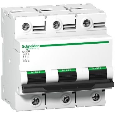 Schneider Sigorta 3C 80A 10KA C120N