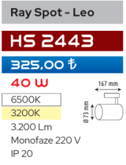 Helios Opto Ray Spot - Leo 40W Siyah Kasa HS 2443