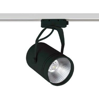 Ack Ray Spot 30W 4000K Siyah Kasa