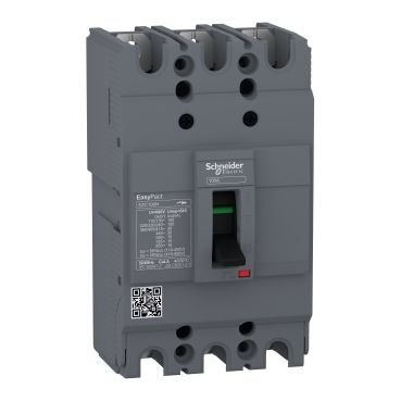 Schneider Termik Manyetik Şalter 3*100A 30KA