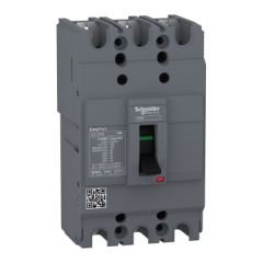 Schneider Termik Manyetik Şalter 3*100A 30KA