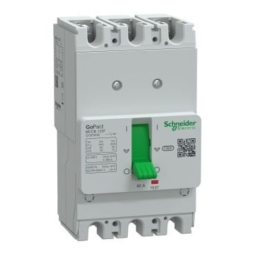 Schneider Termik Manyetik Şalter 3*80A 30KA GoPact 125F Sabit