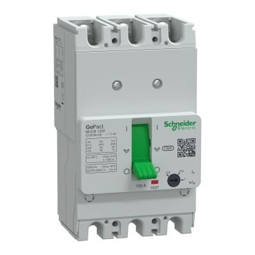 Schneider Termik Manyetik Şalter 3*80-100A 30KA GoPact