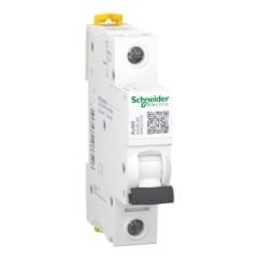 Schneider Sigorta 1B 6A 6KA IK60N